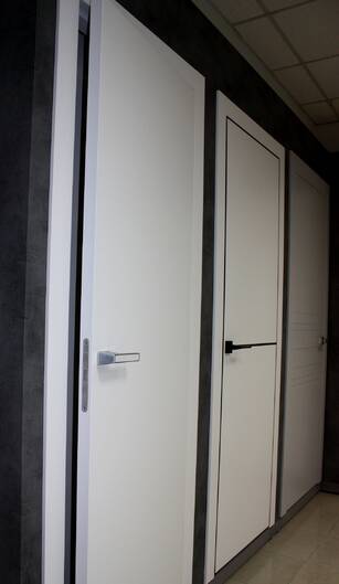Межкомнатные двери окрашенные окрашенная дверь модель g-01